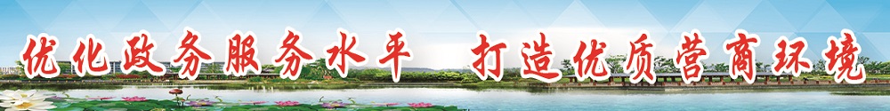 优化政务服务水平 打造优质营商环境