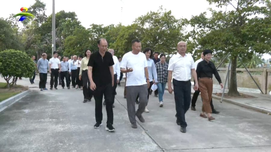 市委书记庞晓冬督导省委巡视反馈问题整改以及“百千万工程”典型镇培育建设工作