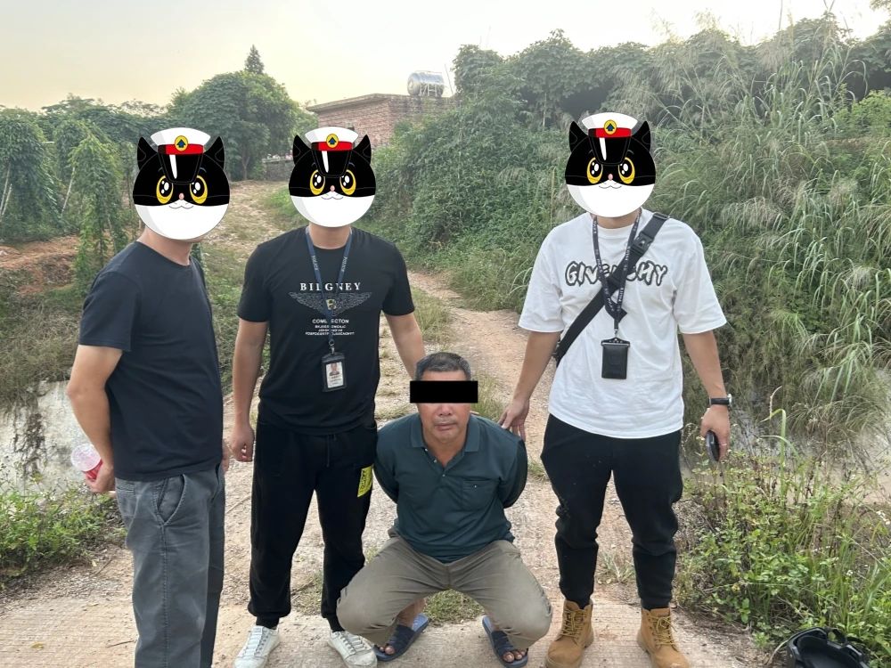 33333333.jpg