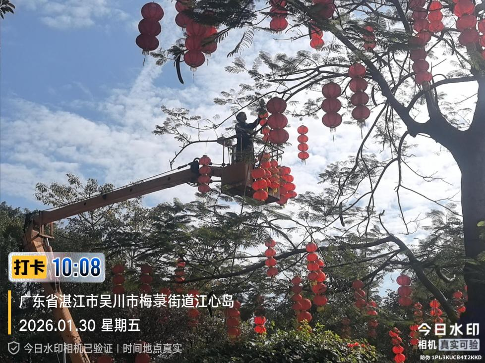 大红灯笼高高挂，红红火火迎新春