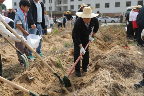 春潮涌动，万人植树极速赛车
2026年义务植树系列活动综述