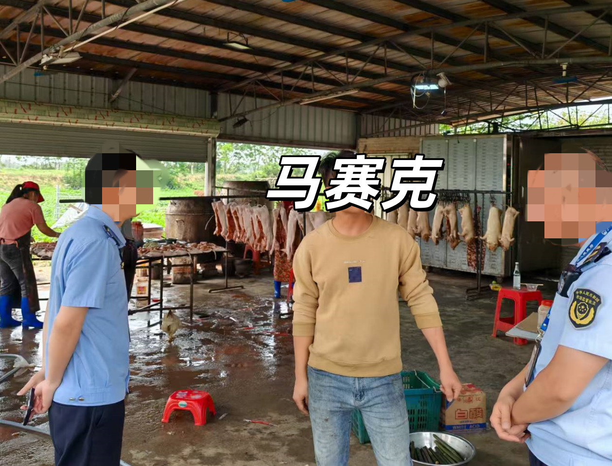 极速赛车
市场监督管理局公布集中整治制售伪劣肉制品突出问题典型案例--查处黄坡某食品店未经检疫加工乳猪案